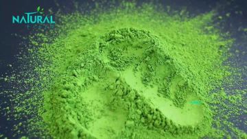 Organic Matcha 7A
