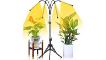 LED Grow Lights for All Plants Across All Growth Stages1