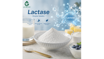 GUBOND Lactase‑High Quality Digestive Enzyme