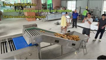 Potato grading machine