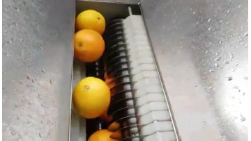 Orange Juicing Machine