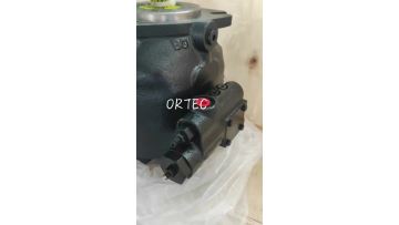 Pump 11C0999