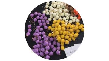 Raffia Earring