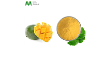 Most Competitive Price Natural Mango Flavor Powder1