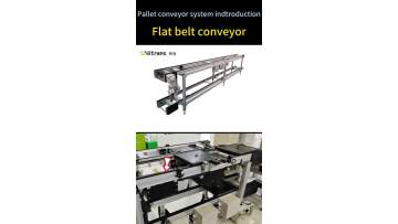 Flat Belt Conveyor for Pallet Handling System