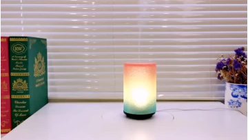 resin diffuser.mp4