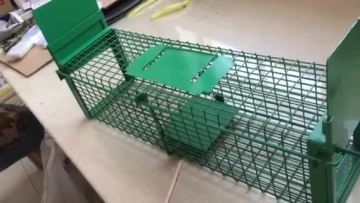 Double Door Entry Collapsible Animal Trap Cage Possum Cat Folding Live Animal Cage Trap1