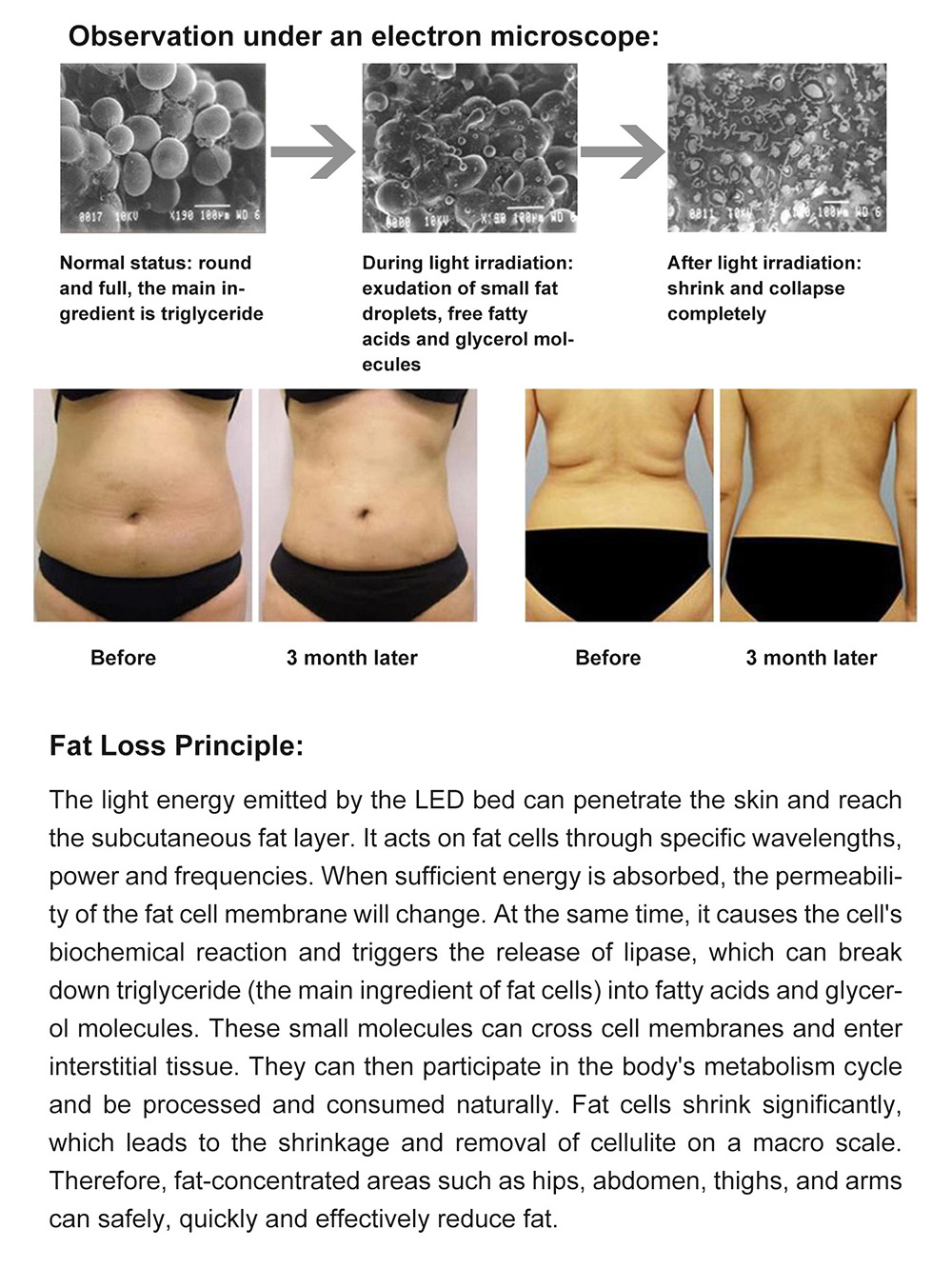 Red Light Therapy For Weight Loss
