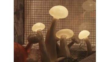 mushroom lights.mp4