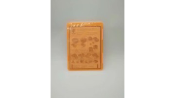 A4 Size Plastic Document Box1