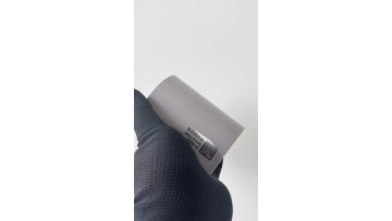 Wild Dove	PX05-G