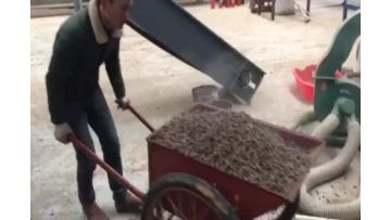 4.mp4