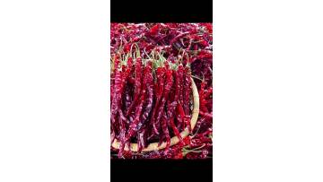 Chili products