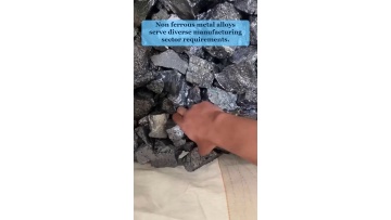 Video 19