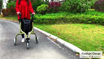 Medical 3 Wheels Rollator Aluminum Petite Rollator 115KG Capacity TRB01, Champagne1