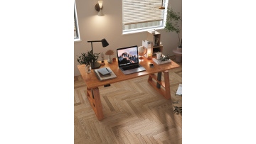New Design Standing Desk