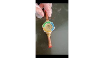sight glass D