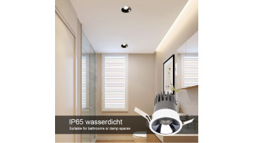 Waterproof IP65 LED Downlight from Synno Lighitng Model SL-CL19