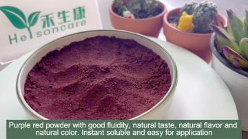 Blueberry freeze dried powder