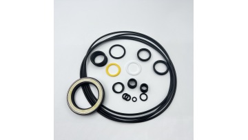 Swing Motor Seal Kit001