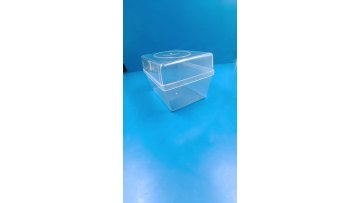 Seed germination box Injection molding