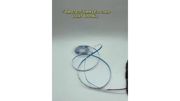 SMD2835 LED Strip Light 6000K