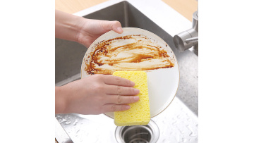 cellulose sponge