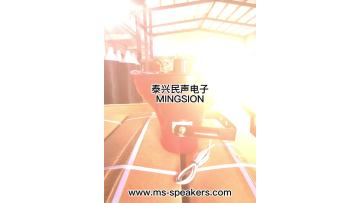 horn speaker