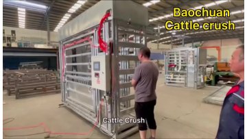 Fully automatic pneumatic cattle yard crush / HEAVY DUTY VET CATTLE CRUSH1