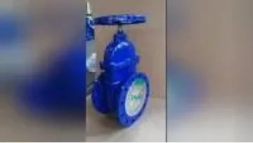 Sluice Valve Industrial Valve British Standard BS 5163 Pn16 Gate Valve Elastic Seat Pipe Gate Valve Tap Water Gate Valve Flange Gate Valve Drain Valve1