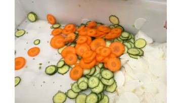 ST-Q306 Cucumber Carrot Slicer 