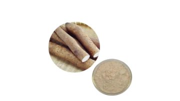 wild yam extract