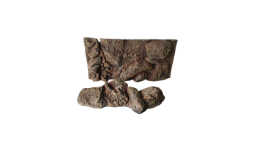Reptile Landscaping Background Board1