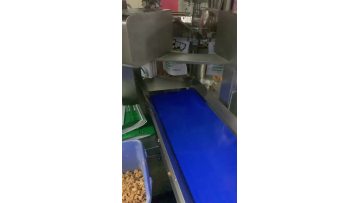 Doypack automatic packing line
