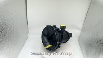 BJ-9225 Secondary Air Pump