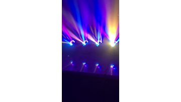 19x15w Bee eye moving head light