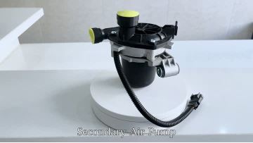 BJ-9332 Secondary Air Pump