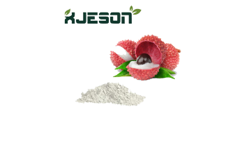 litchi powder