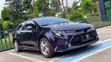 M12-P Venetian Purple Metallice