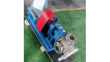 Electric NYP series rotor pumpfor High Viscosity Food, Drug and Chemical Products Transportation1