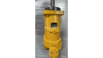 A2F250L5P2 Hydraulic piston pump