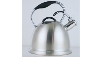 small capacity whistle kettle FH-533