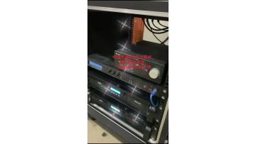 dual 10 inch line array speaker 
