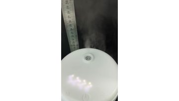 Atomizer Plate For Ultrasonic Humidifier