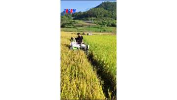 1.2B Mini rice combine harvester(green)