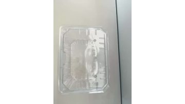 PET fruit tray