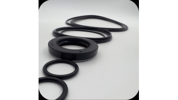 Swing Motor Seal Kit-3