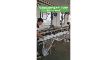 Video 12