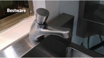 Self Closing Faucet
