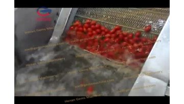 tomato washing machine